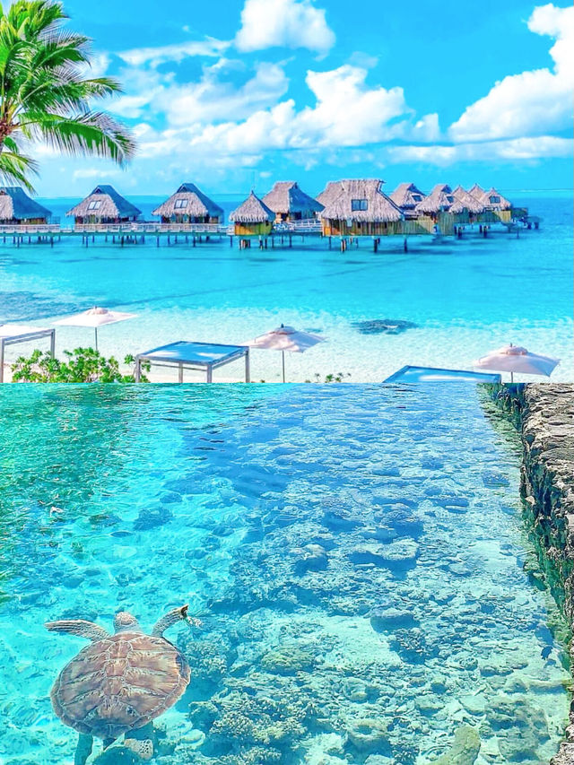 波拉波拉島:海島界的愛馬仕,把浪漫焊在天堂裡 波拉波拉島:海島界的愛馬仕,把浪漫焊在天堂裡