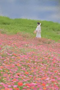 18圖帶你看深圳秋冬限定美景