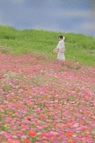 18 foto yang menampilkan pemandangan musim gugur dan musim dingin Shenzhen dalam waktu terbatas
