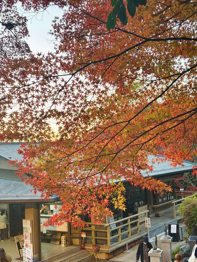 名古屋周邊|隱藏系絕美露營地 名古屋周邊|隱藏系絕美露營地