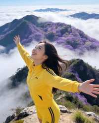 紫陽保姆級攻略帶你遊玩絕美景點