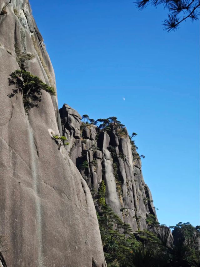 三清山悟道指南：一場與花崗岩峰林的雲端對話