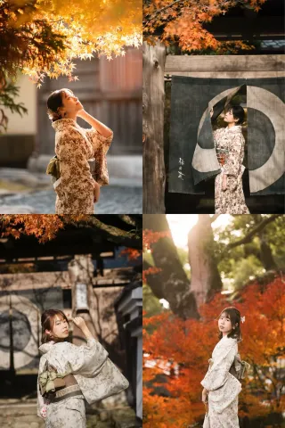 福岡の紅葉シーズンがやってきました！！