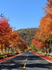 千島湖②｜秋冬環湖自駕