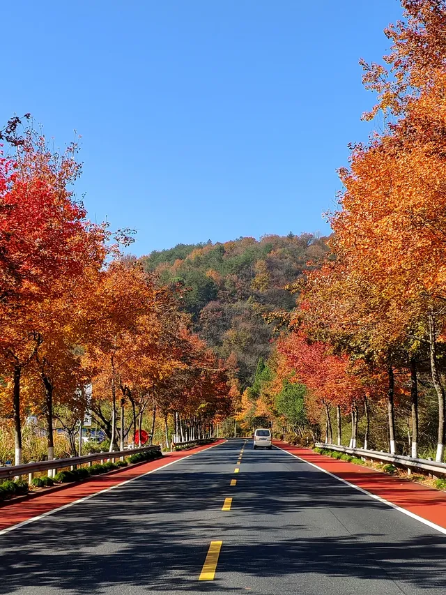 千島湖②｜秋冬環湖自駕