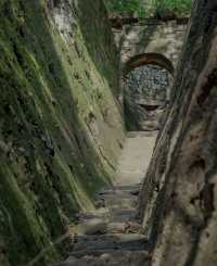 逃離喧囂赴一場茶山之約,把日子泡在茶香裡