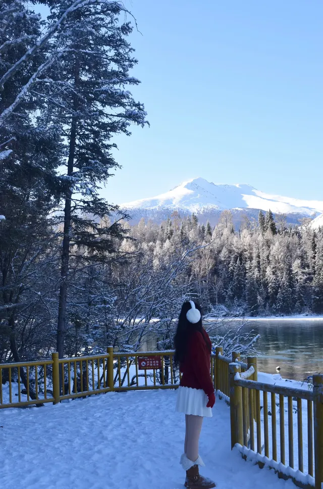 喀納斯自駕旅遊攻略11.25實況live