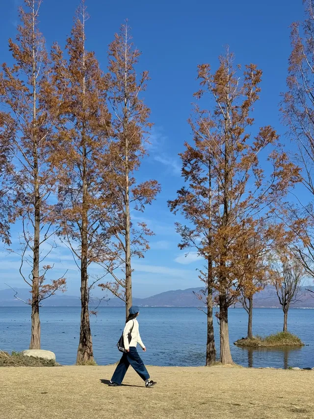 愛回收|來大理直接複製這條洱海一日遊路線! 愛回收|來大理直接複製這條洱海一日遊路線!