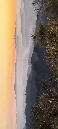 上海出發~三清山篁嶺兩日遊(三清山篇)