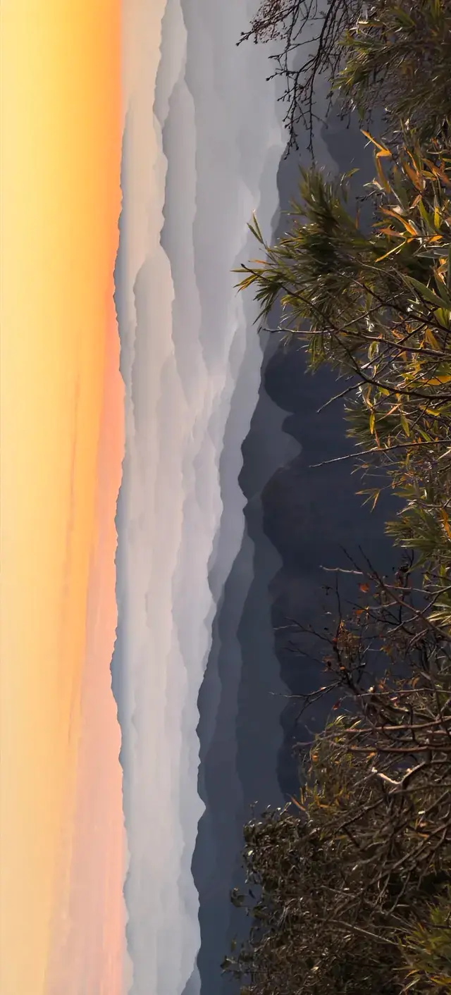 上海出發~三清山篁嶺兩日遊(三清山篇) 上海出發~三清山篁嶺兩日遊(三清山篇)