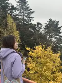 九華山兩天一夜攻略|抱佛腳 沒煩惱🪷