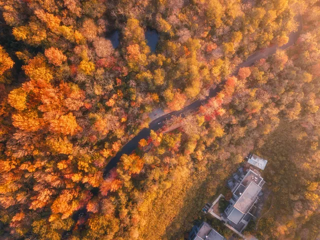 連夜來到南京只為拍到這幾張