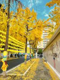 這個銀杏季，成都賞秋地圖攻略來了