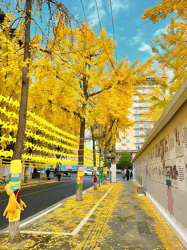 這個銀杏季，成都賞秋地圖攻略來了