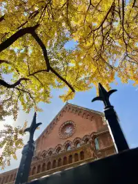 12.4外灘聖三一堂銀杏季已到附隱藏機位