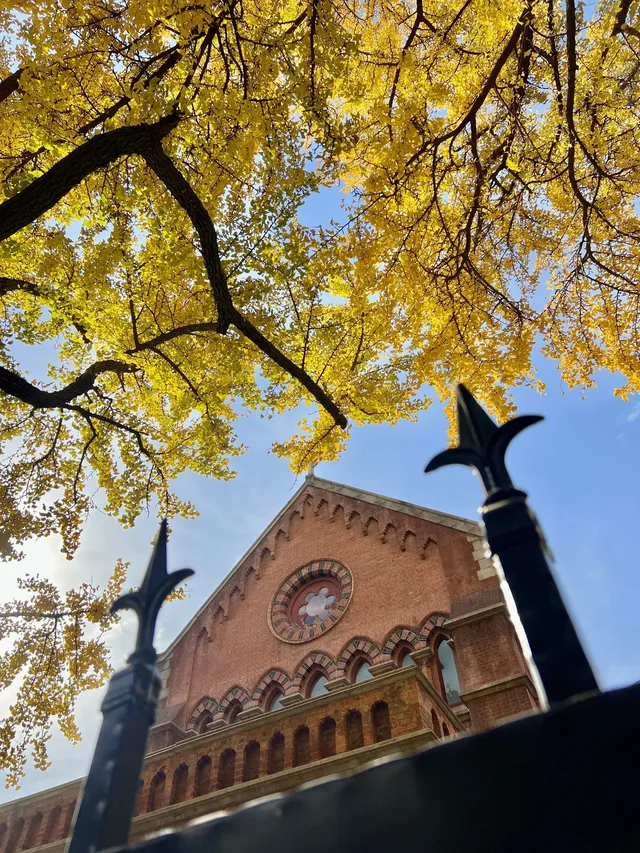 12.4外灘聖三一堂銀杏季已到附隱藏機位 12.4外灘聖三一堂銀杏季已到附隱藏機位