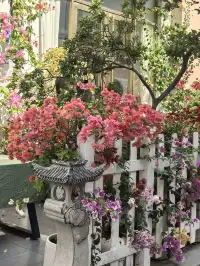 泉州|悄悄分享一個沒有人知道的絕美角落