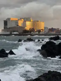 濟州島solo trip一人遊吃住行攻略