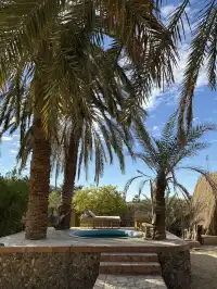 埃及文藝路線,從金字塔到地中海再到撒哈拉