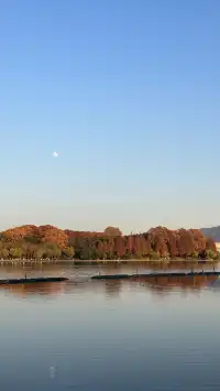 賞銀杏~一定要來玄武湖梁洲覽勝閣~
