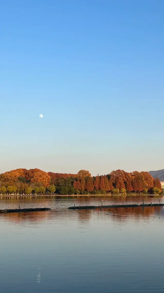 賞銀杏~一定要來玄武湖梁洲覽勝閣~ 賞銀杏~一定要來玄武湖梁洲覽勝閣~