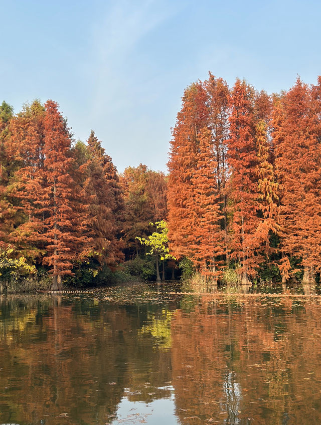 尚湖秋日醉美秘境 尚湖秋日醉美秘境