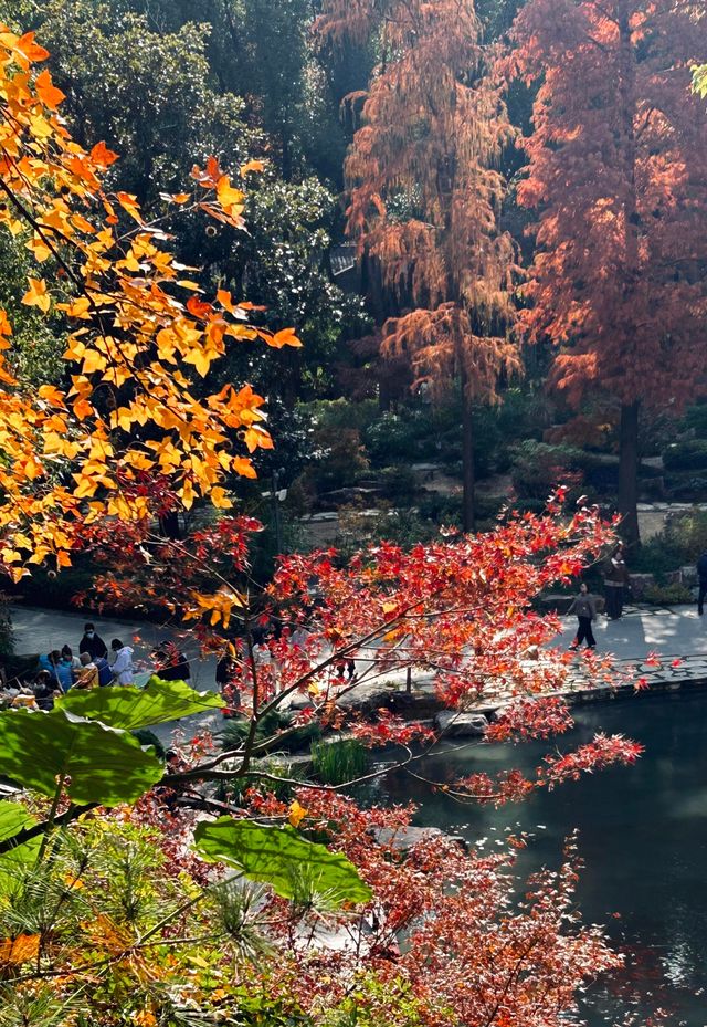 魔都小眾治癒地輔德里公園|市中心藏的森林綠洲 魔都小眾治癒地輔德里公園|市中心藏的森林綠洲
