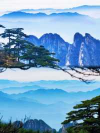 黃山歸來不看岳?我信了 雲海、奇松、怪石,每一幀都是國畫