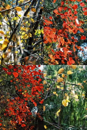 隱山𝟙𝟡|三峽之巔,煙光凝而暮山紫 隱山𝟙𝟡|三峽之巔,煙光凝而暮山紫