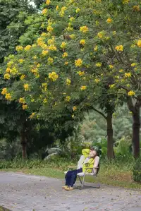 假期戶外躺平指南|帶娃露營的治癒時刻