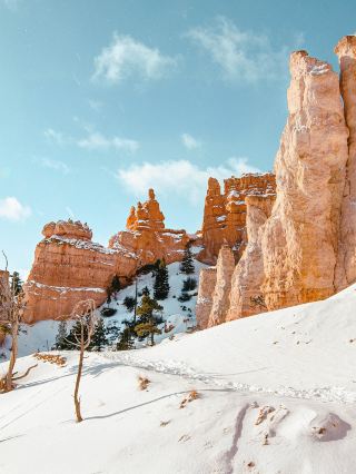 ทัวร์ส่วนตัวที่ปรับแต่งได้ตามต้องการ ไม่เร่งรีบ! เลือกทัวร์รถส่วนตัวที่คุณชื่นชอบจากลอสแอนเจลิส