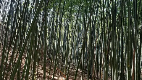 A place near Xi'an that can heal the body, mind, and soul. — traveler post in Three Rivers