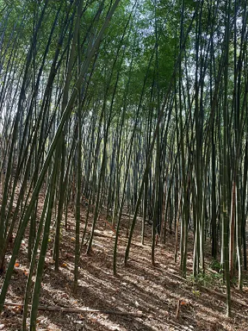 西安周辺で、心身を癒すことができる場所。