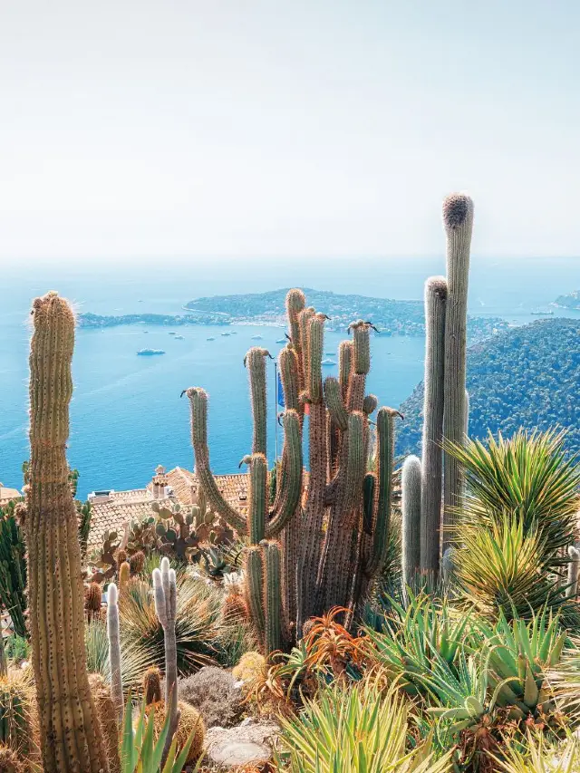 10-Day Multi-Country Europe Tour Ultimate Guide is here