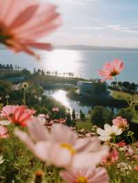 秋天的調色盤被打翻啦！毛茸茸彩色團子樂園