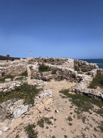 เที่ยวชมตูนิเซีย 7 วัน ในช่วงเทศกาลชิงหมิง | ห้ามพลาด! ไม่งั้นต้องรออีกปี