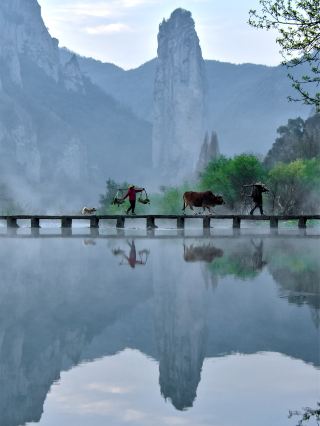 Stop crowding Wuzhen! Lishui in March is the true Jiangnan highlight