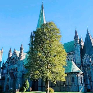 Trondheim · Nidaros Cathedral (Nidarosdomen) Guide.