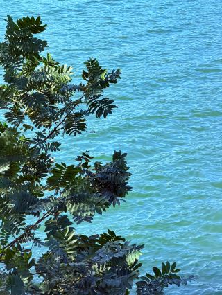 Escape the hustle and bustle of the city and head to Jiaoling!