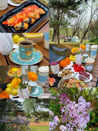 A romantic picnic by the canal
