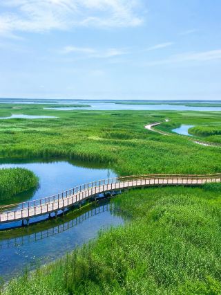 Cool summer escapes just 1 hour from Shanghai, flooding your social feed