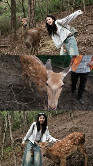 쿤밍 주변｜주말에 산소 마시고 귀여운 동물들과 힐링 타임!