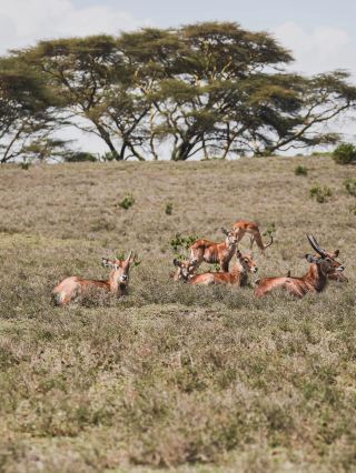 15-day Zambia multi-country tour guide quick code to save