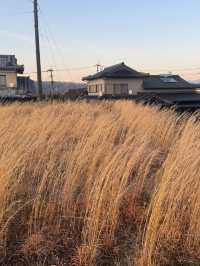 6日夏天遊日本 攻略直接抄功課