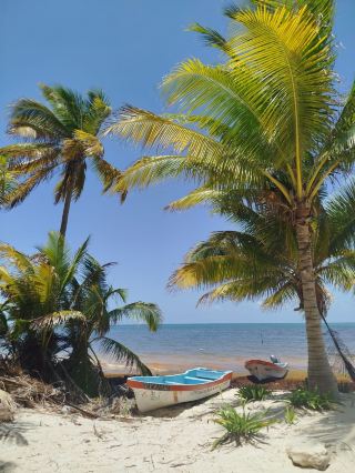 Fantastic Excursions and Warm Hospitality in Playa del Carmen