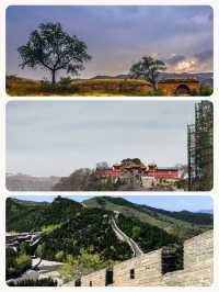 帶爸媽玩城不累攻略,親測省心
