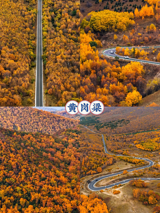 fall magc ing   秋の雪景色 Autumn in Chifeng | A world of oil paintings acclaimed by Chinese