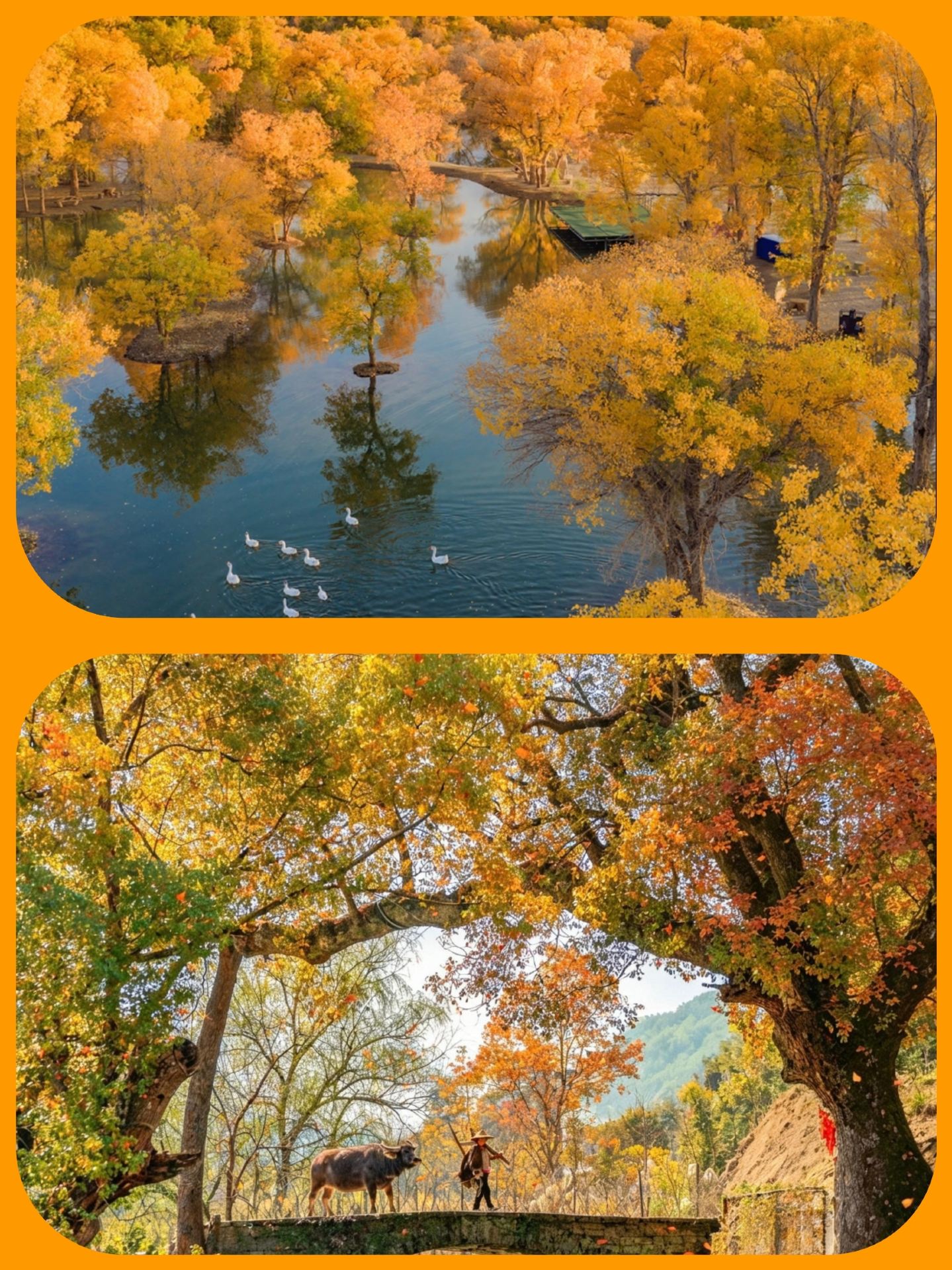 Where to go for autumn in October? These 8 places are breathtakingly beautiful