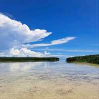 맹그로브와 철새의 천국, Olango Island