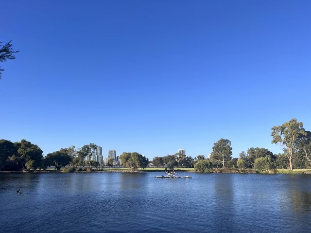 Lake Douglas, Swan Canning Riverpark😎📸🤩